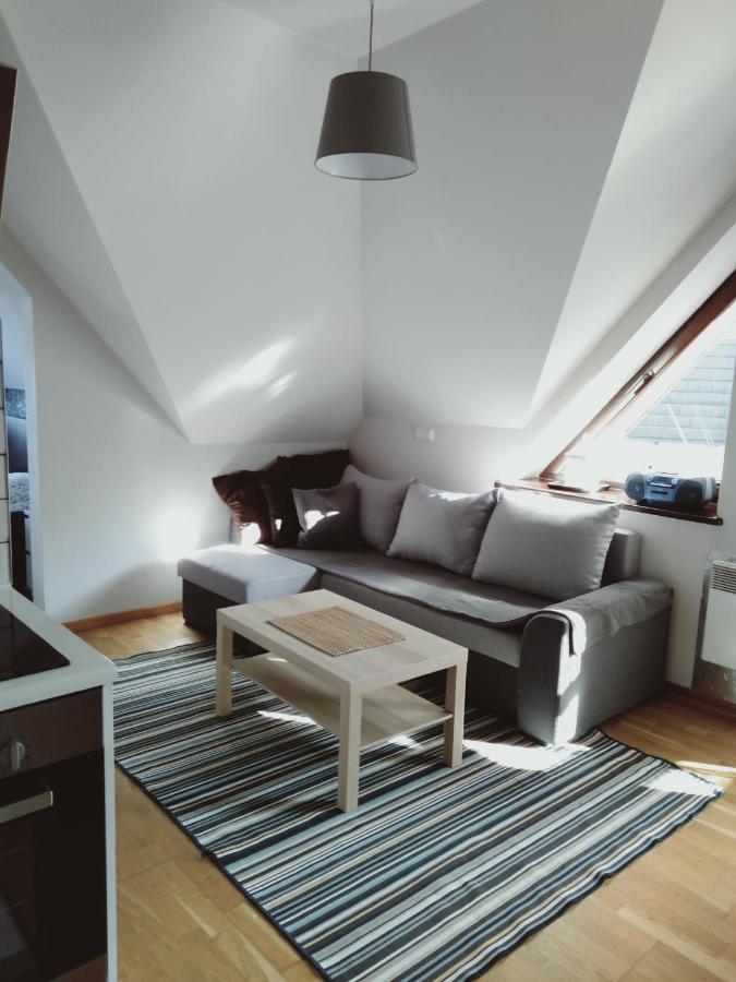 Apartament Kasprowy Jaszczurowka Закопане Екстериор снимка