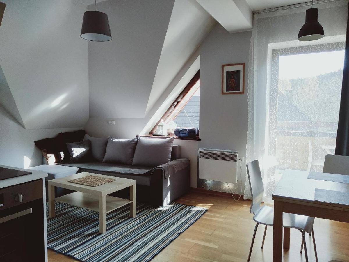 Apartament Kasprowy Jaszczurowka Закопане Екстериор снимка